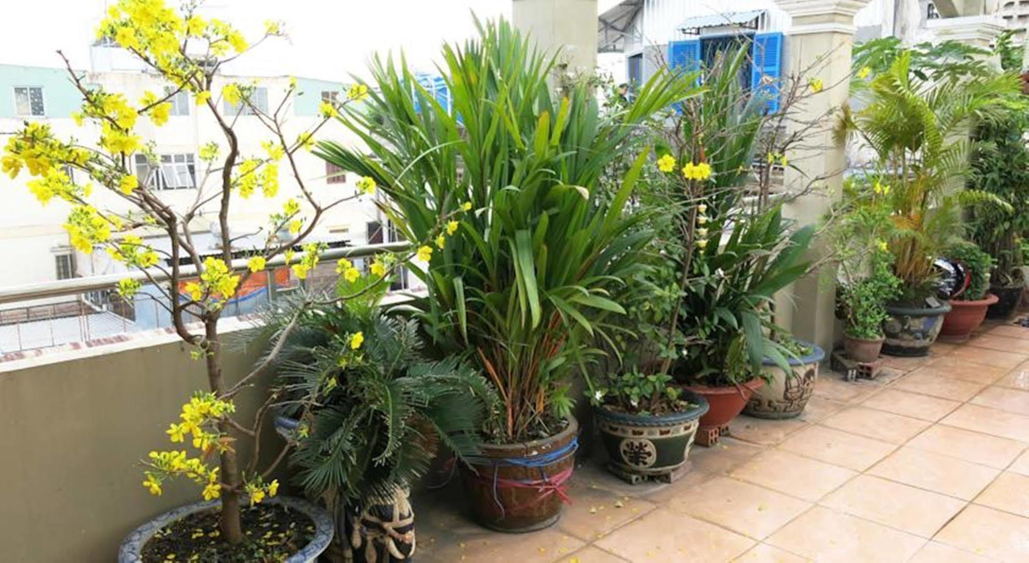Banana Leaf Hotel Ho Chi Minh City Bagian luar foto